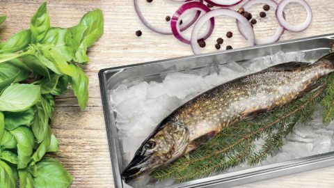 Hauen ruodonpoisto | Kalankäsittelyvinkit | Hätälä