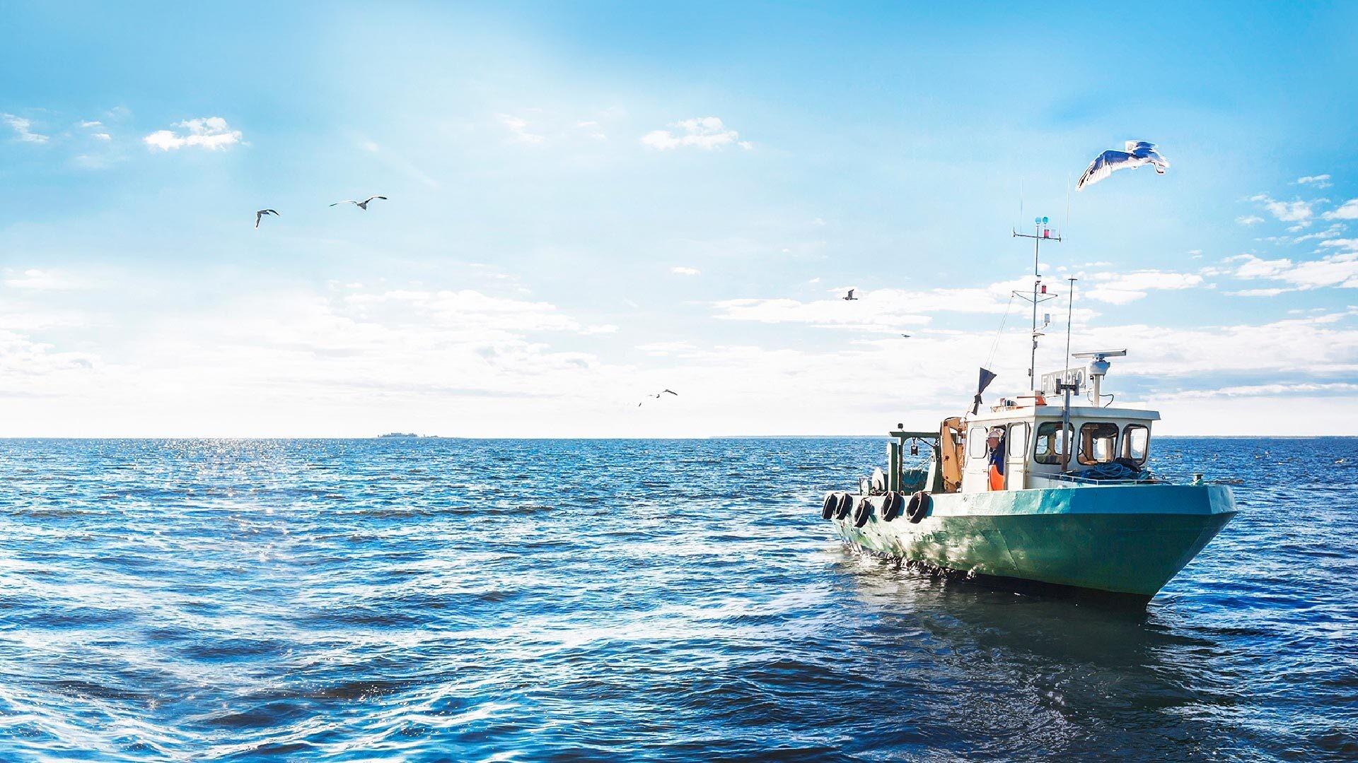 Hätälä rekryuutinen vientipäällikkö 2022 artikkelikuva